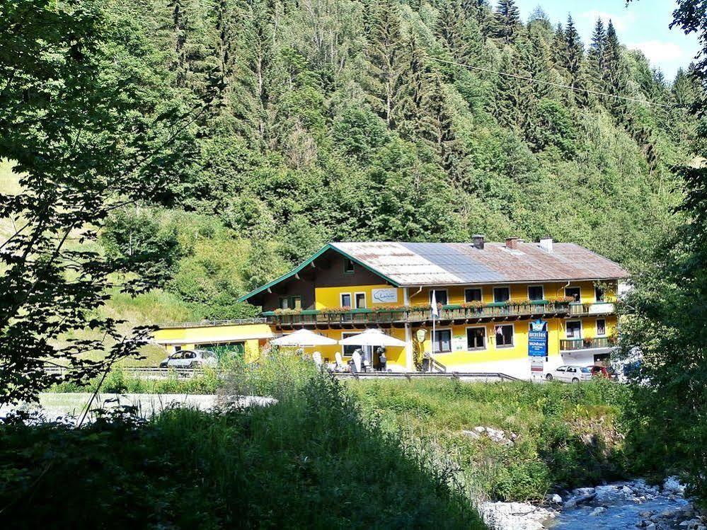 Hotel-Restaurant Bike&Snow Lederer มึลบาค อัม โฮคเคอนิก ภายนอก รูปภาพ